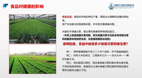 跨越隱形饑餓，點(diǎn)亮健康未來 硒鍶硅鋅營(yíng)養(yǎng)健康食品項(xiàng)目與生態(tài)旅游開發(fā)協(xié)同發(fā)展計(jì)劃
